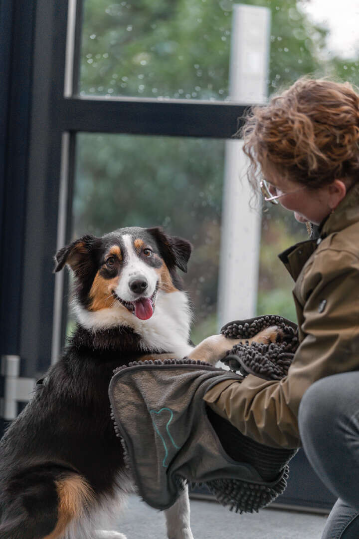 TRIXIE Handtuch mit Handlaschen